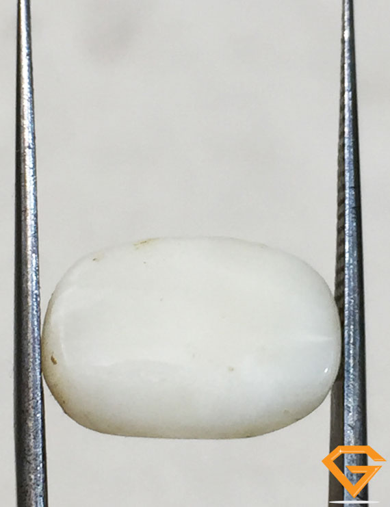 7.50 ratti/6.69 ct Natural Certified  White Coral/सफ़ेद मूंगा